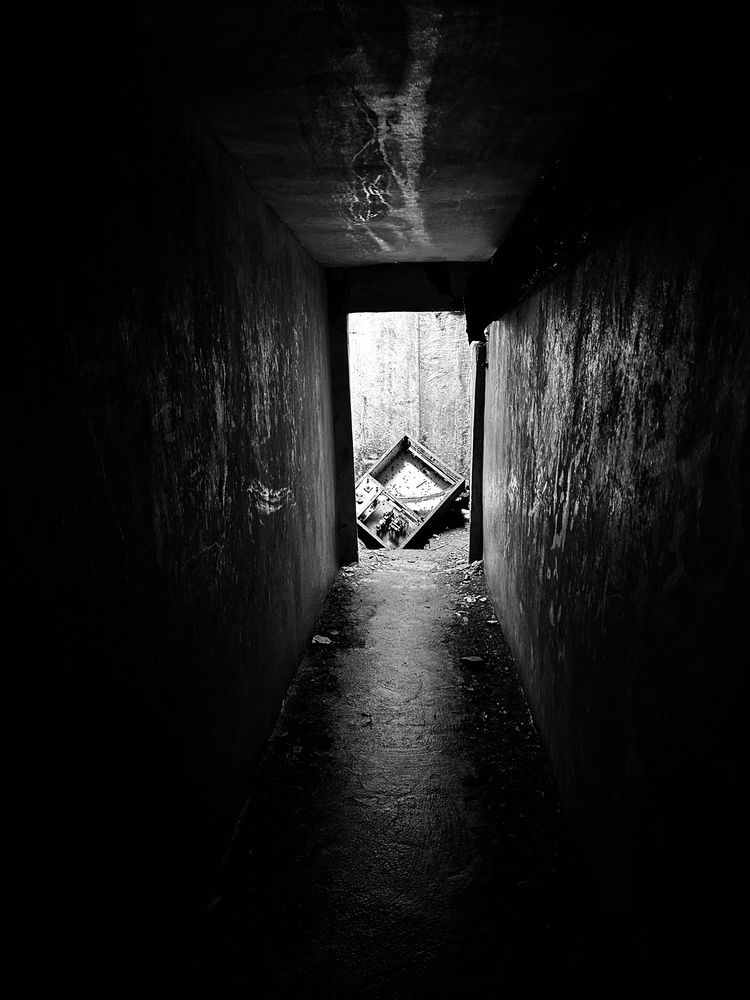 Photograph by Светлана Ионова