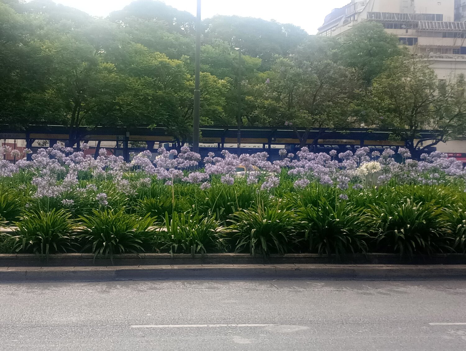Photo #12953301