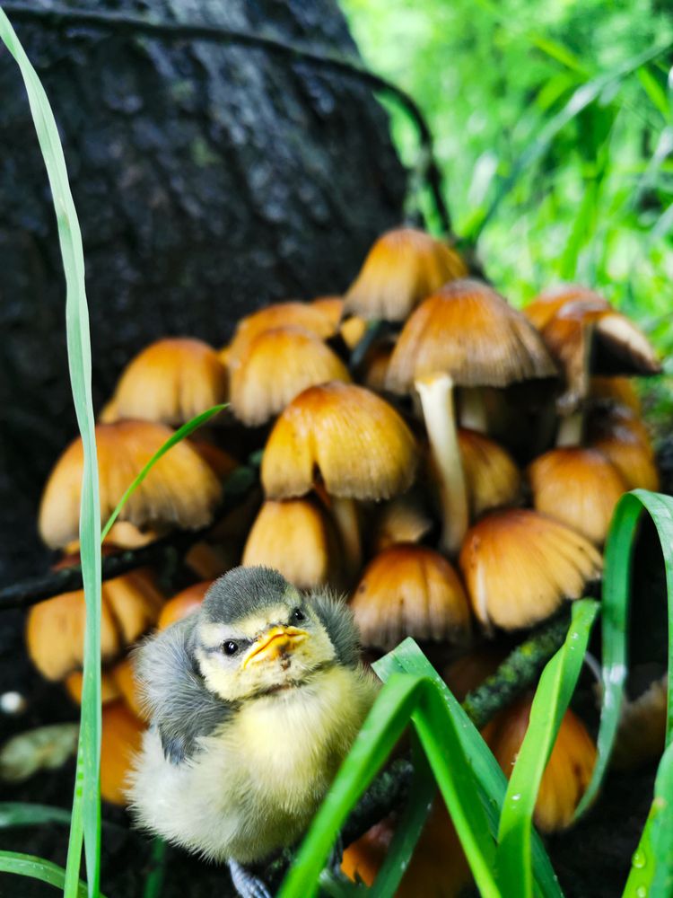 Фотография автора Дмитрий Гаврилов