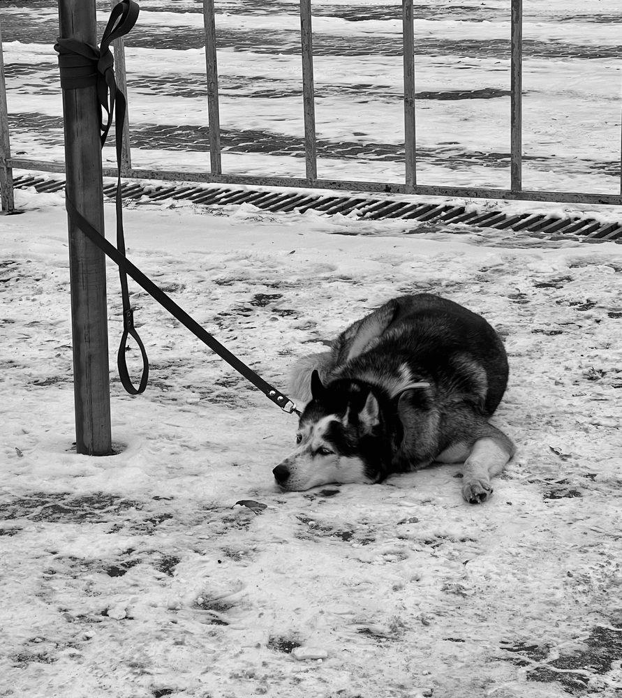 Photograph by Ирина Швейнова