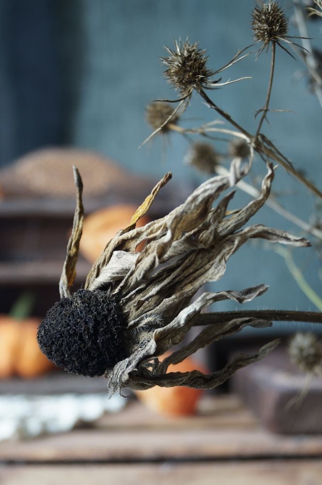 Photograph by Swetlana Smiryagina