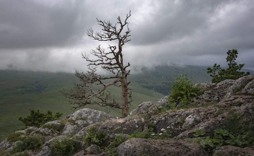 Photograph by Алексей Мякота