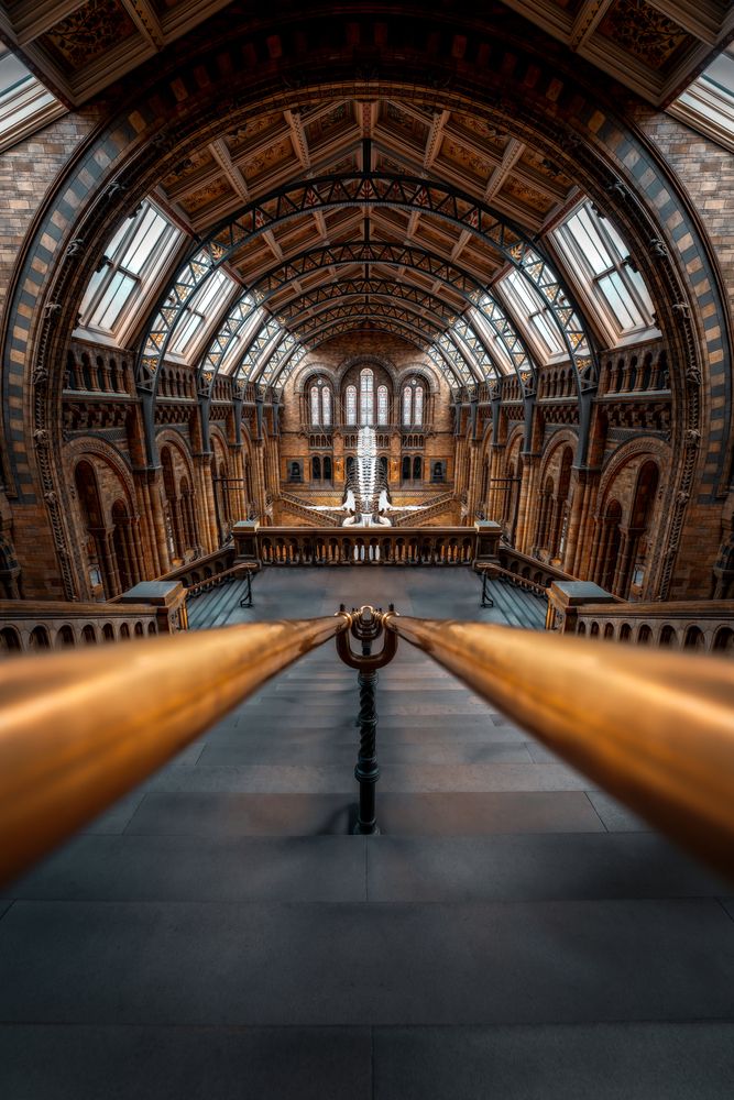 Photograph by Robert Fülöp