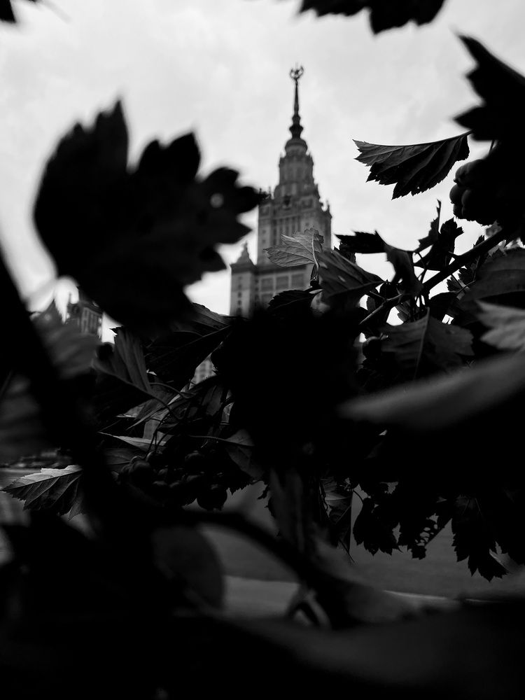Фотография автора Марина Илюхина