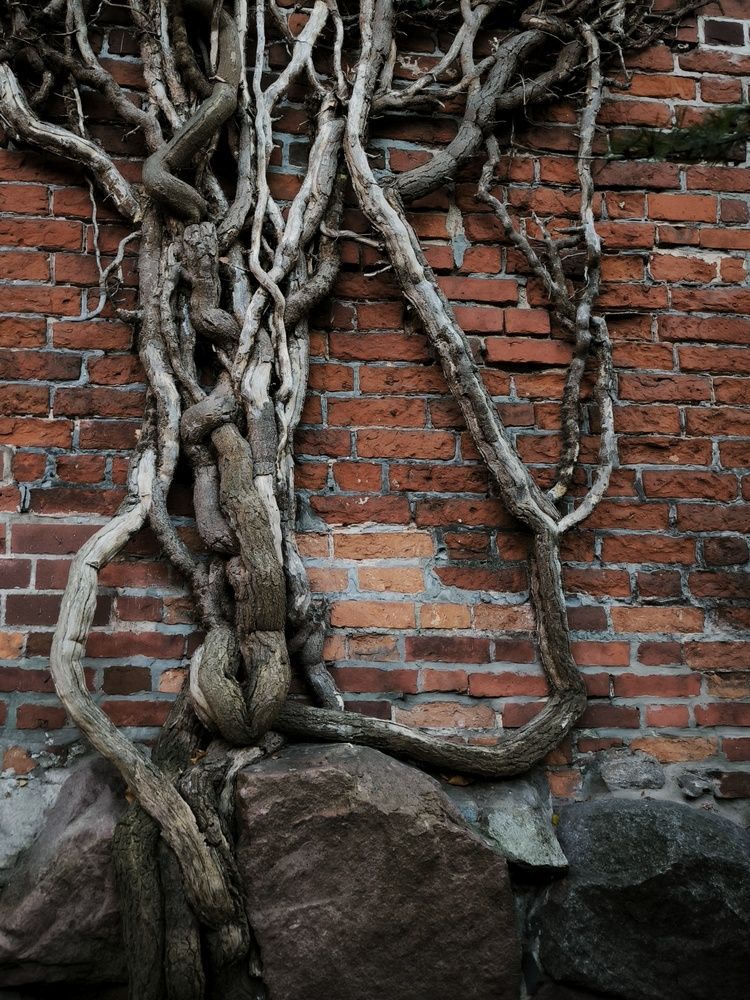 Photograph by Татьяна Яцкевич