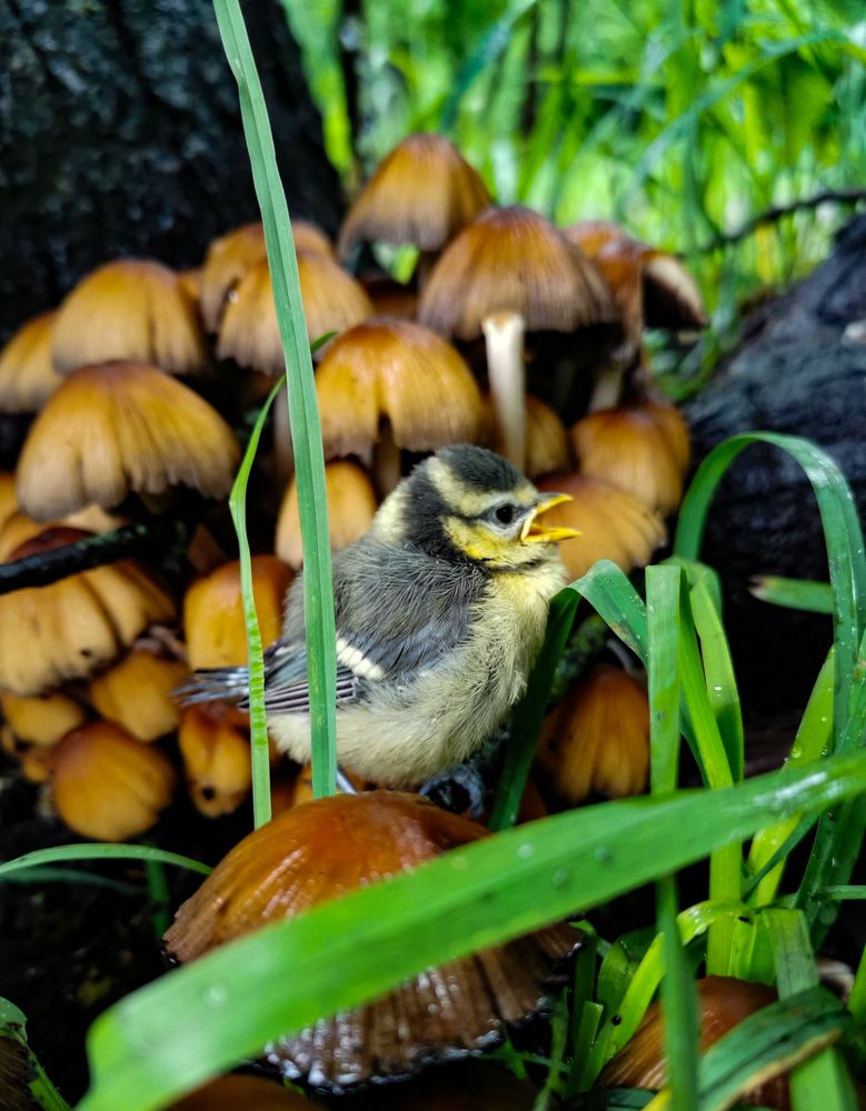 Фотография автора Дмитрий Гаврилов