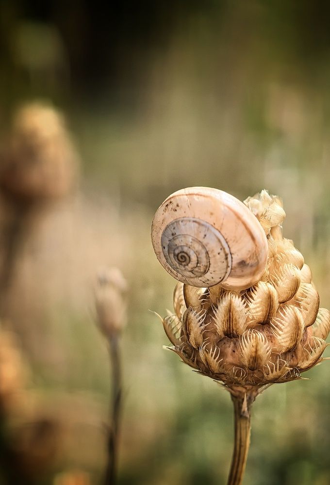 Photograph by Кривенко Владимир