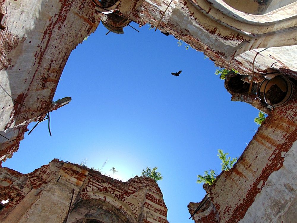 Photograph by Алена