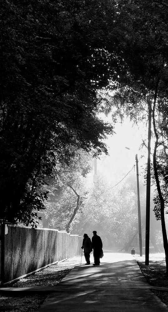 Photograph by Елена Артёменко