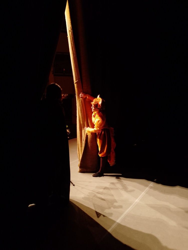 Photo #12953910