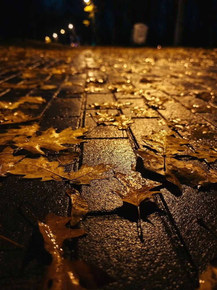 Photograph by Татьяна Соколовская