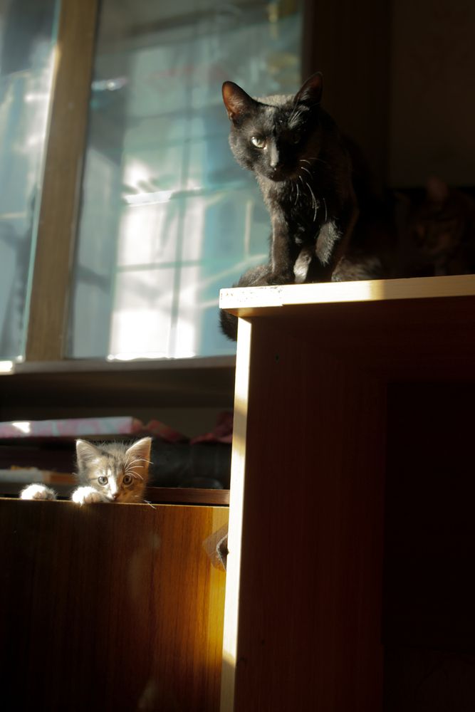 Photograph by Алиса Глыбоцкая