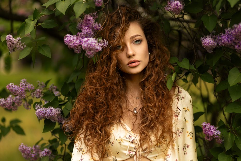Фотография автора Shulgin Dmitry