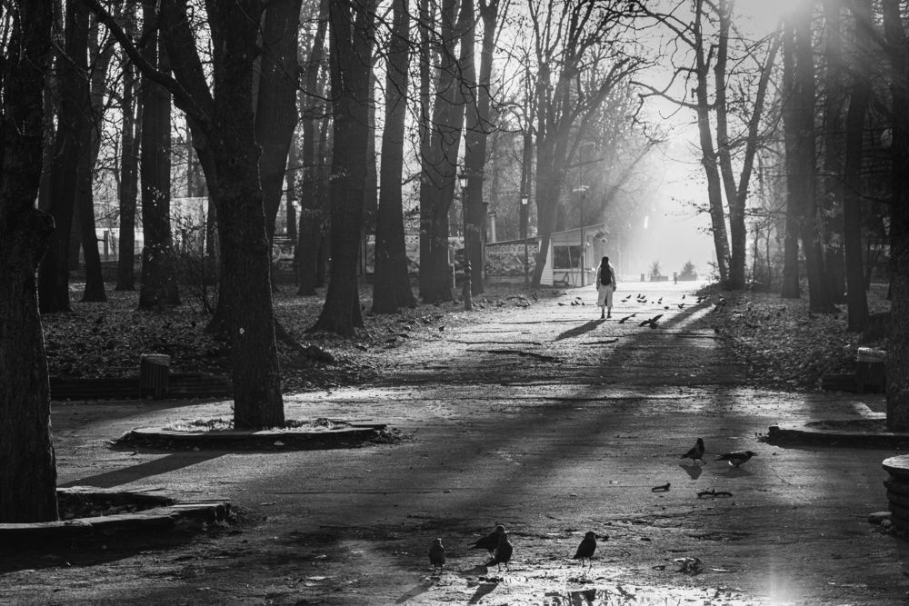 Photograph by Николов Андриян