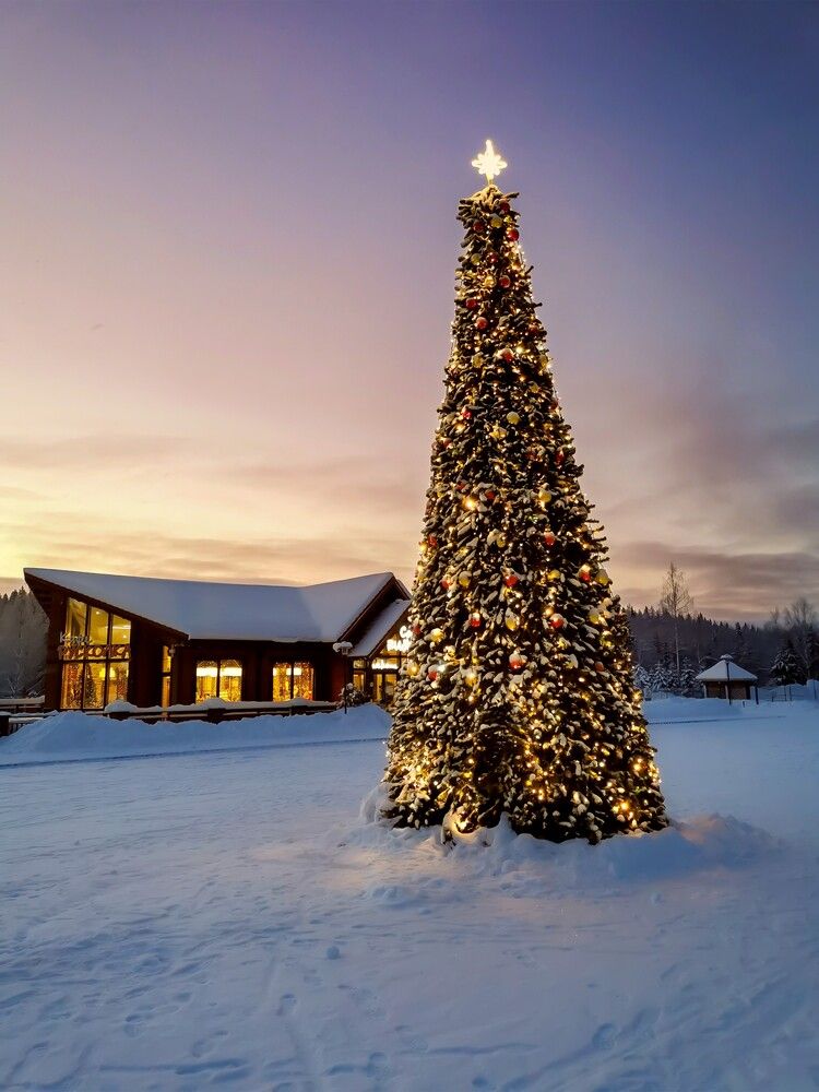 Photograph by Александр П