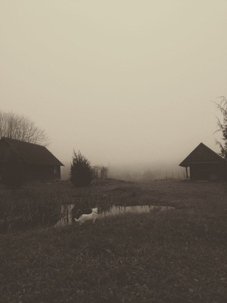 Photograph by Ия Дирко