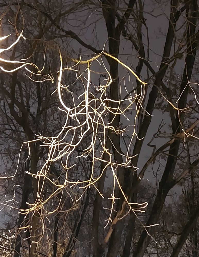 Photograph by Владимир Баулин