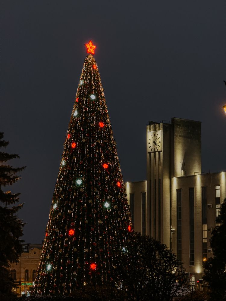 Фотография автора Анастасия Терехова