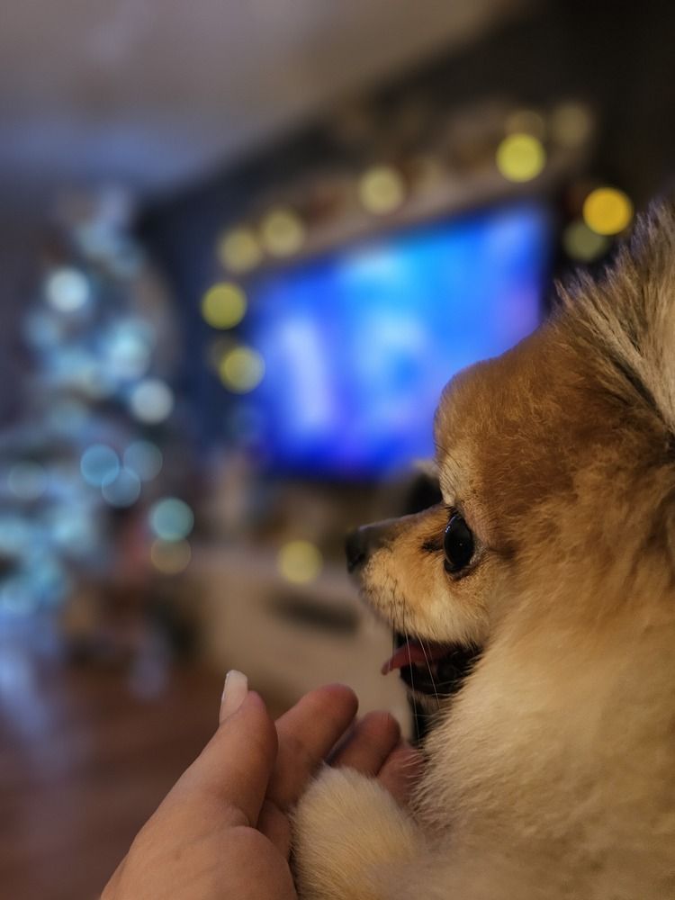 Photograph by Elena Neprosh