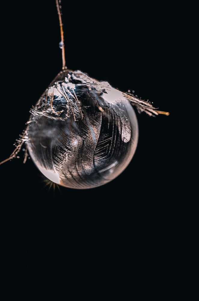 Фотография автора Наталья Алексеева