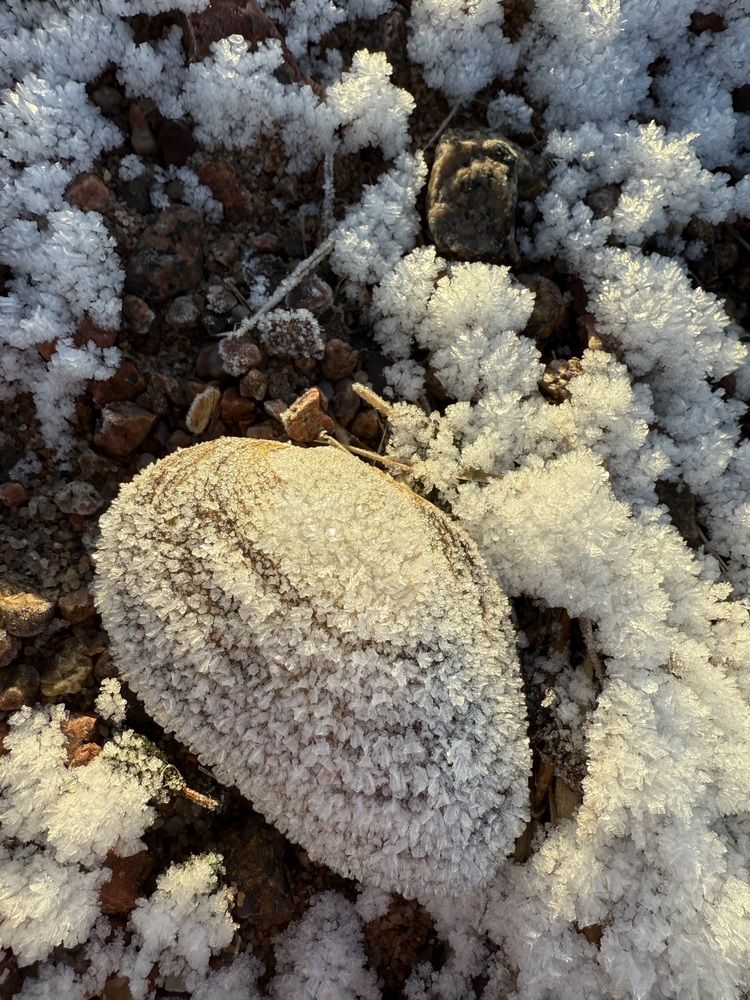 Photograph by Бондаренко Светлана