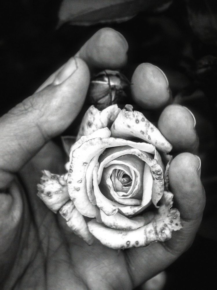 Photograph by Коробов Алексей