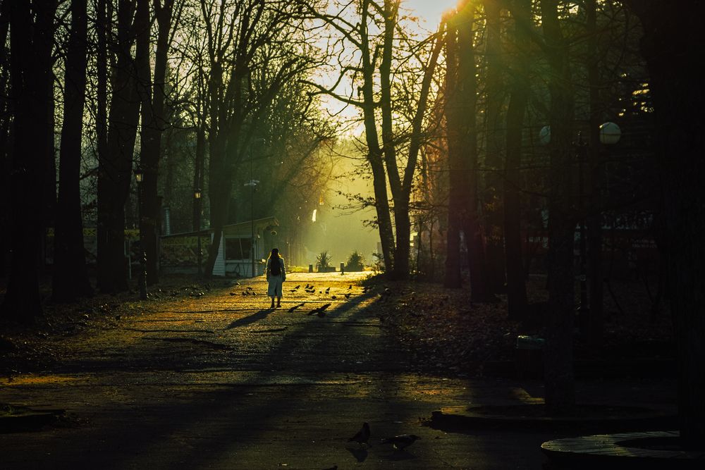 Photograph by Николов Андриян
