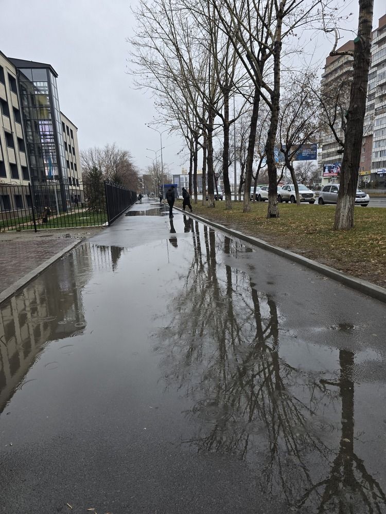 Photograph by Галья Щербина