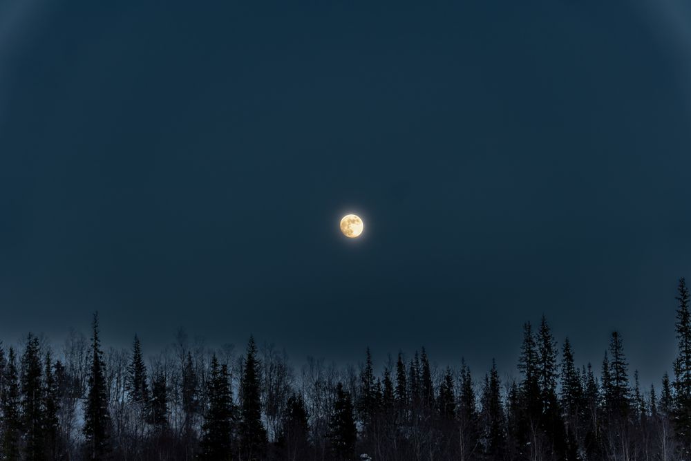 Photograph by Андрей Соколов