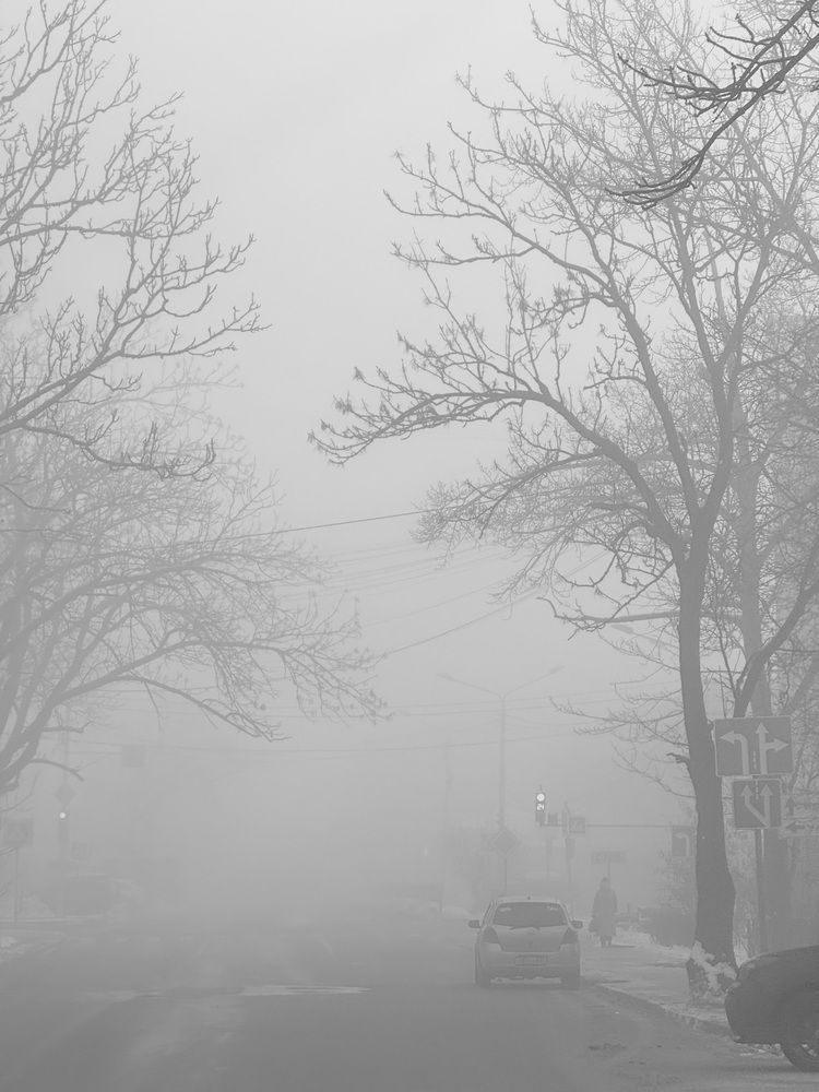 Фотография автора Елена Меньшикова