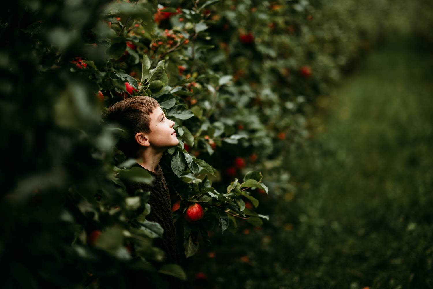 Фотография #12954655