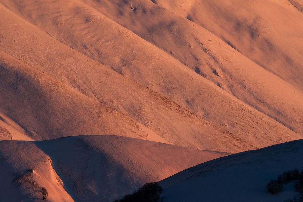 Photograph by Francesco Perticaroli