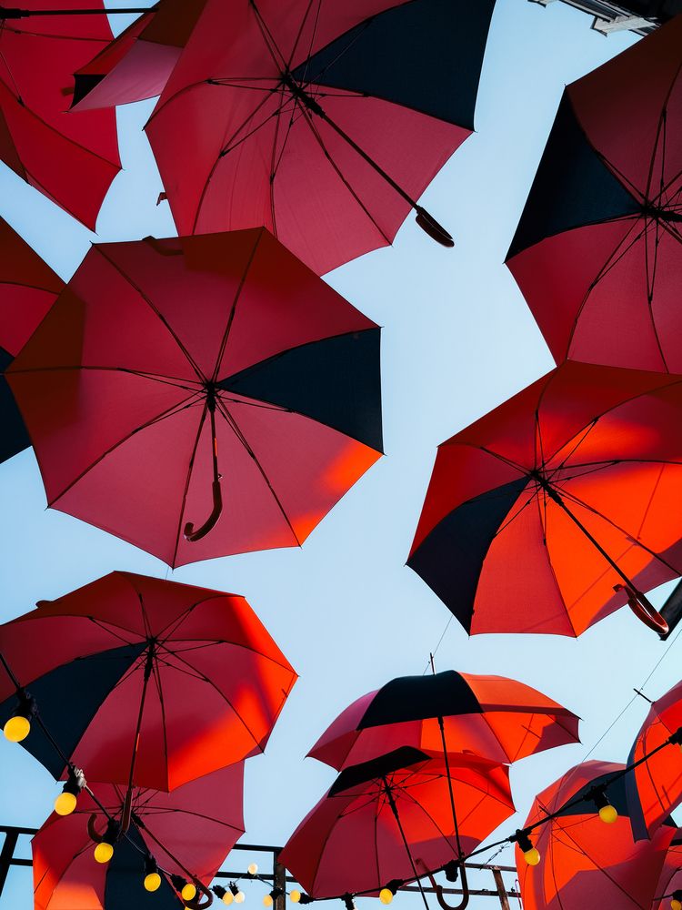 Photograph by Elizabeth Barkovskaya