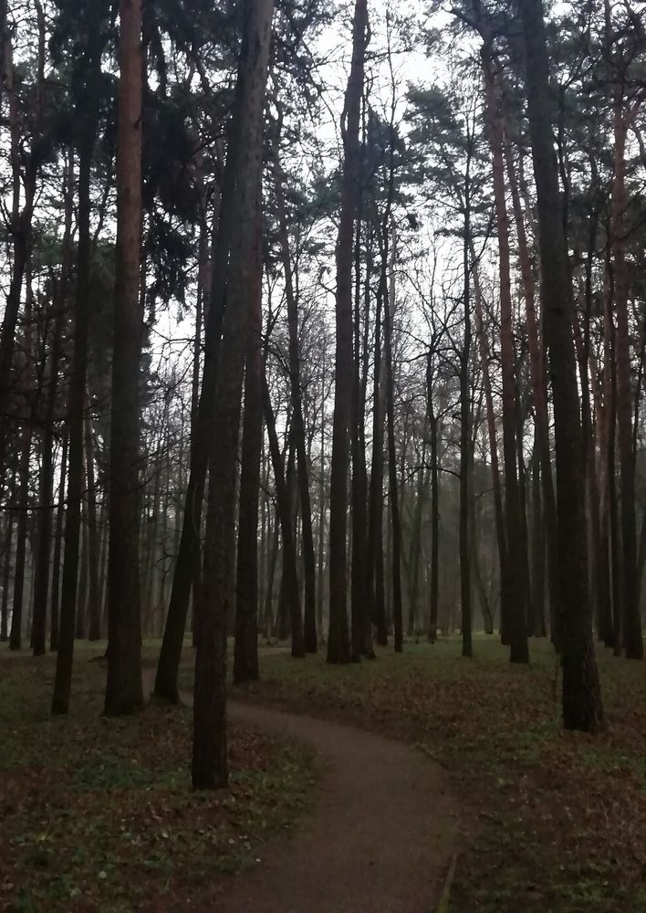 Тропа литературных грёз (Остафьево)