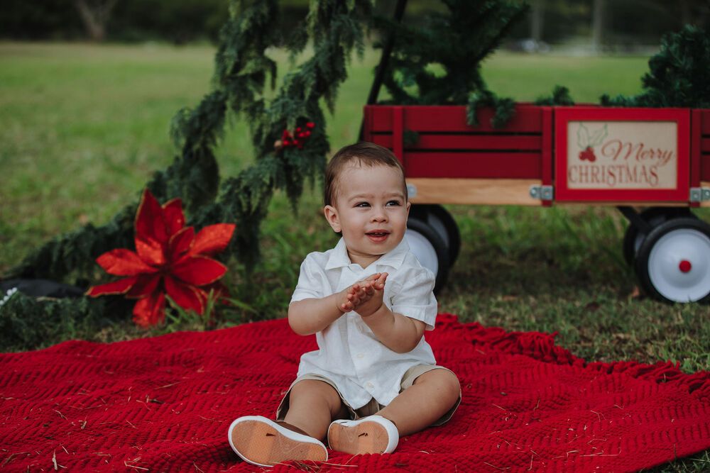 Фотография автора Michele Coelho Photography