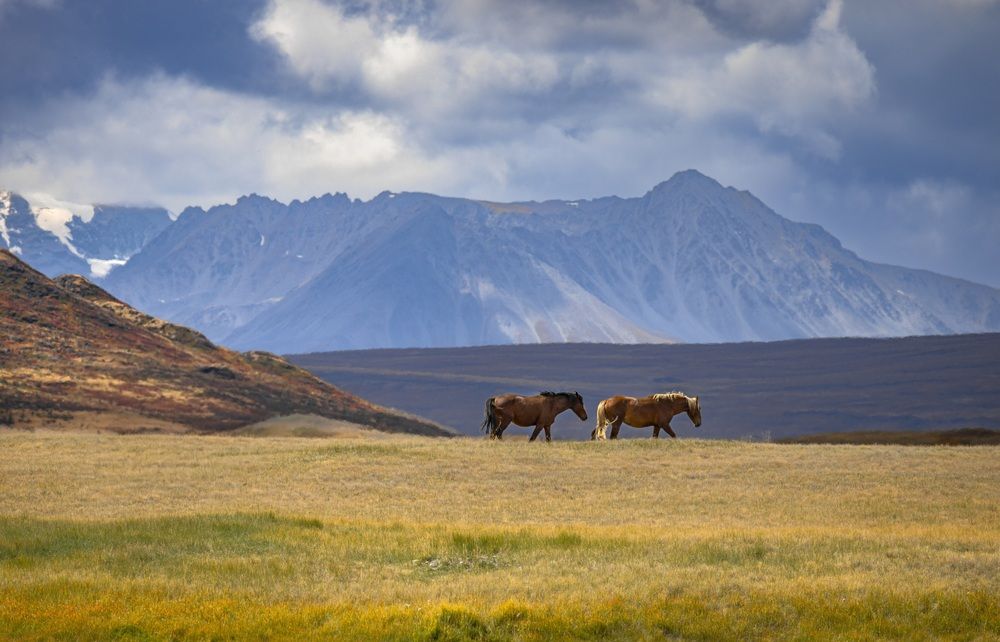 Фотография автора Екатерина Лурина