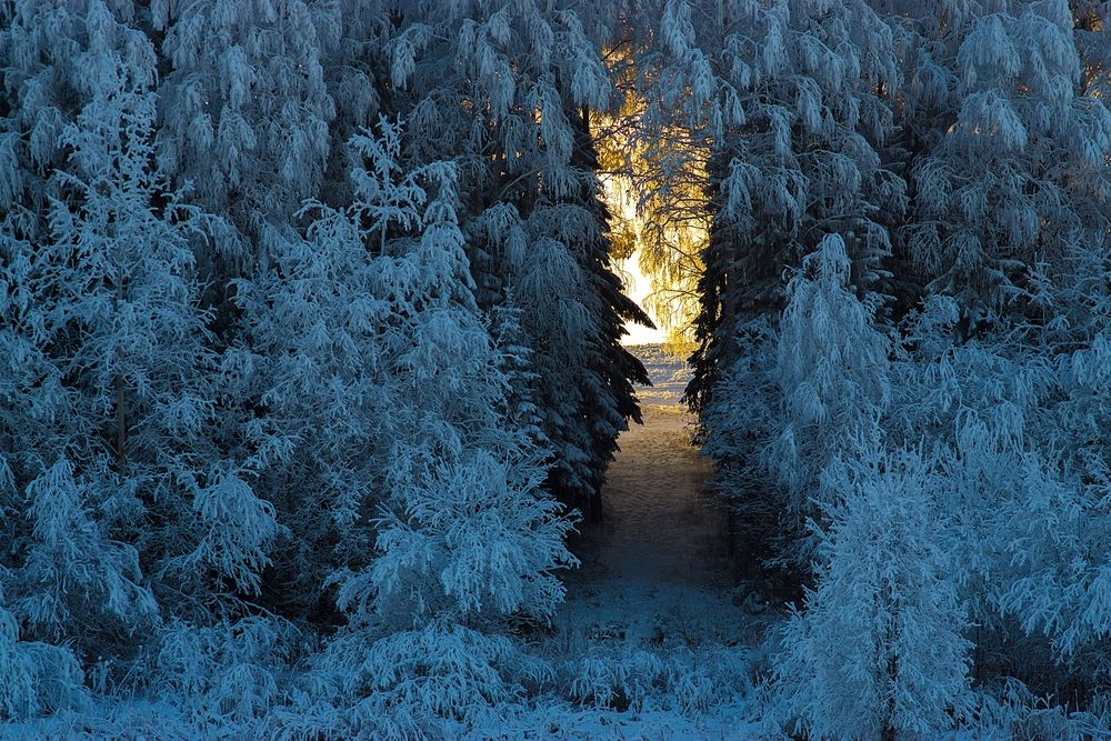 Photograph by Виталий Тимушев