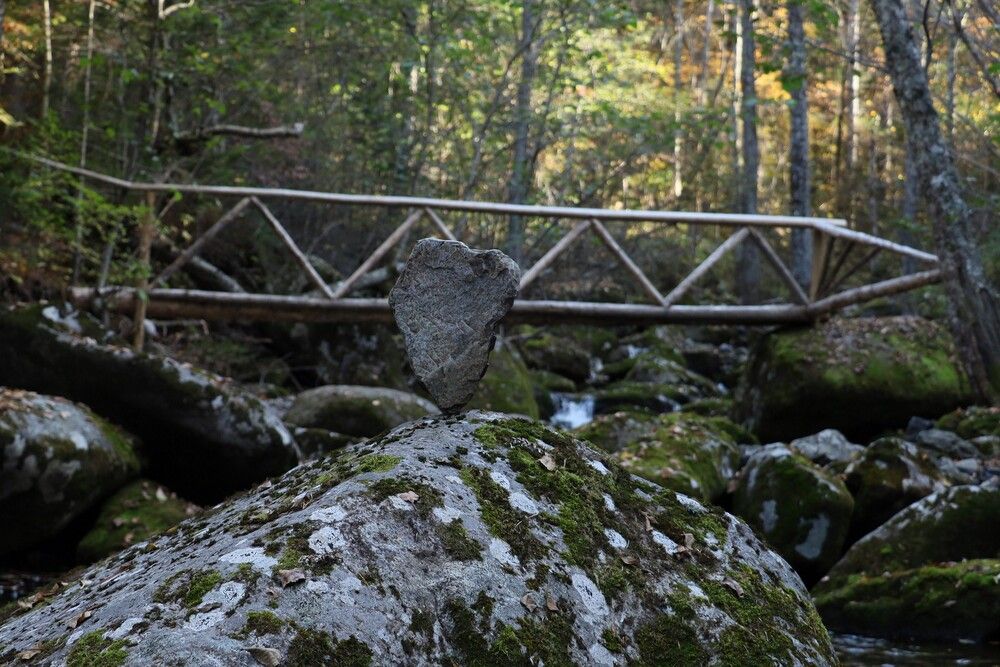 Photograph by Sergey Tsubanov