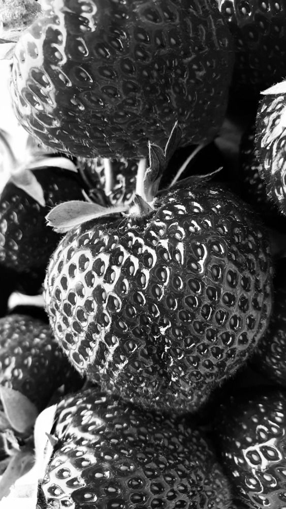 Photograph by Ольга Евтухова