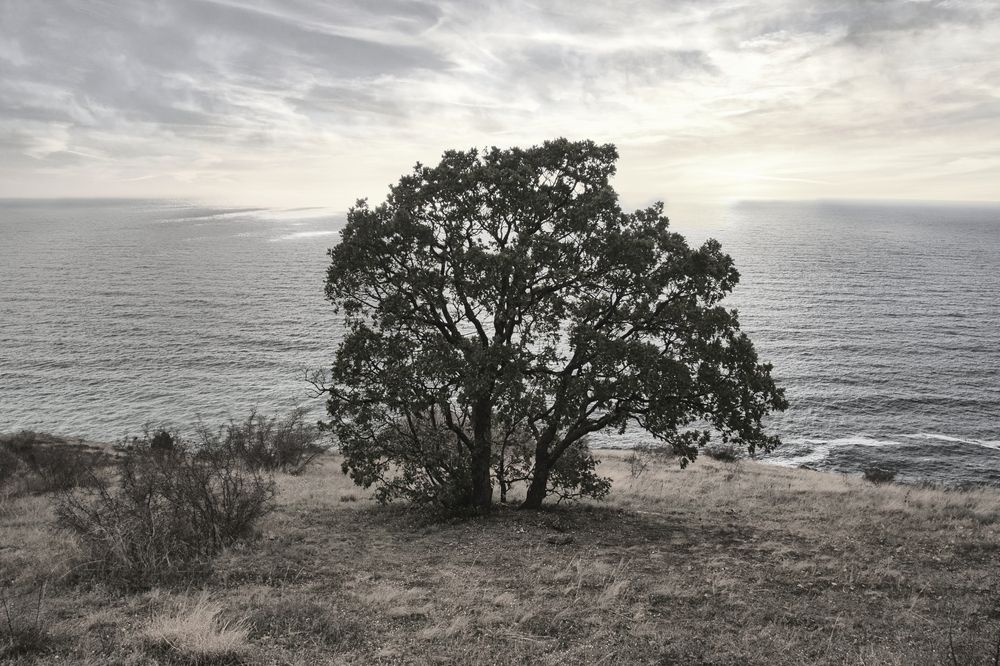 Photograph by AlexSa