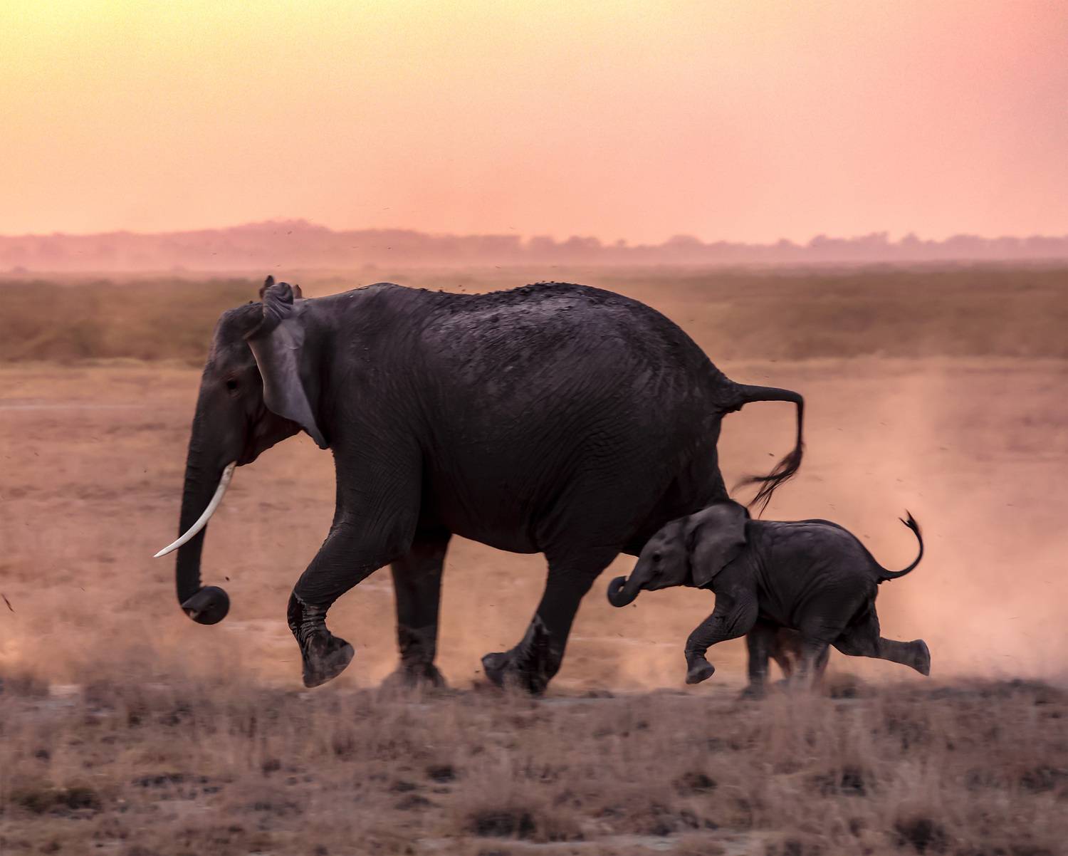 Following Giants