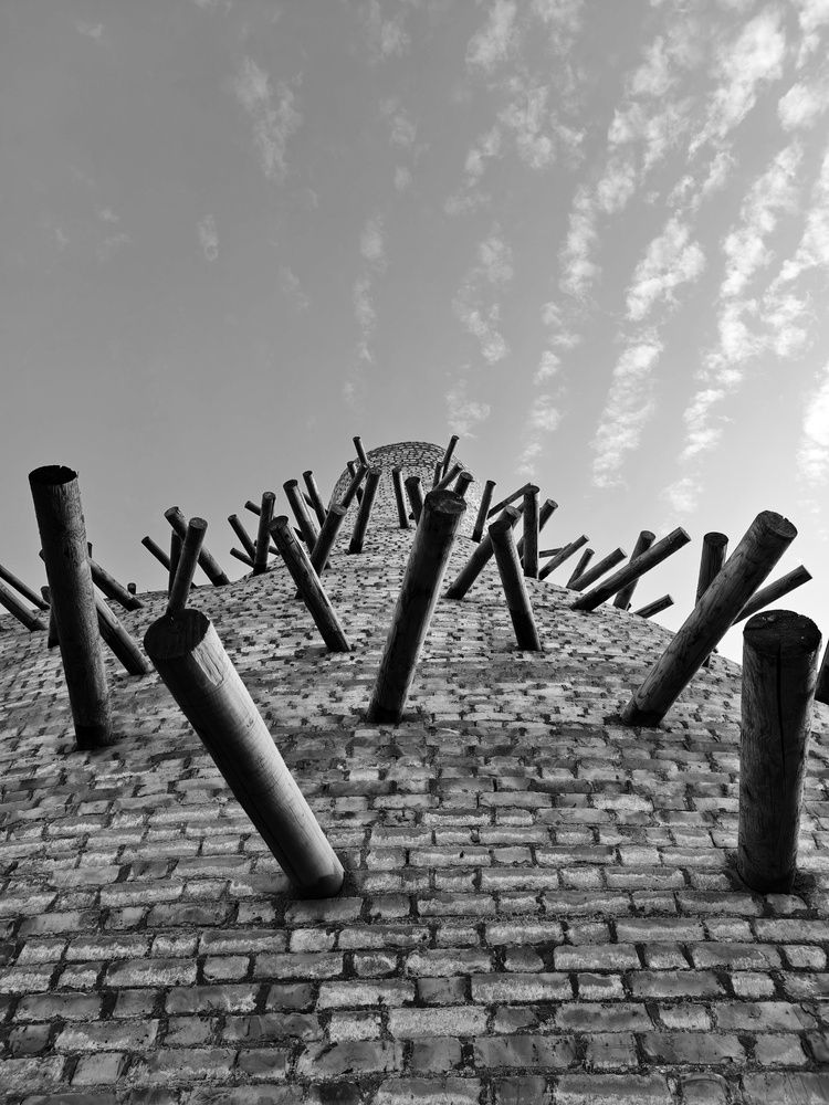 Фотография автора robot