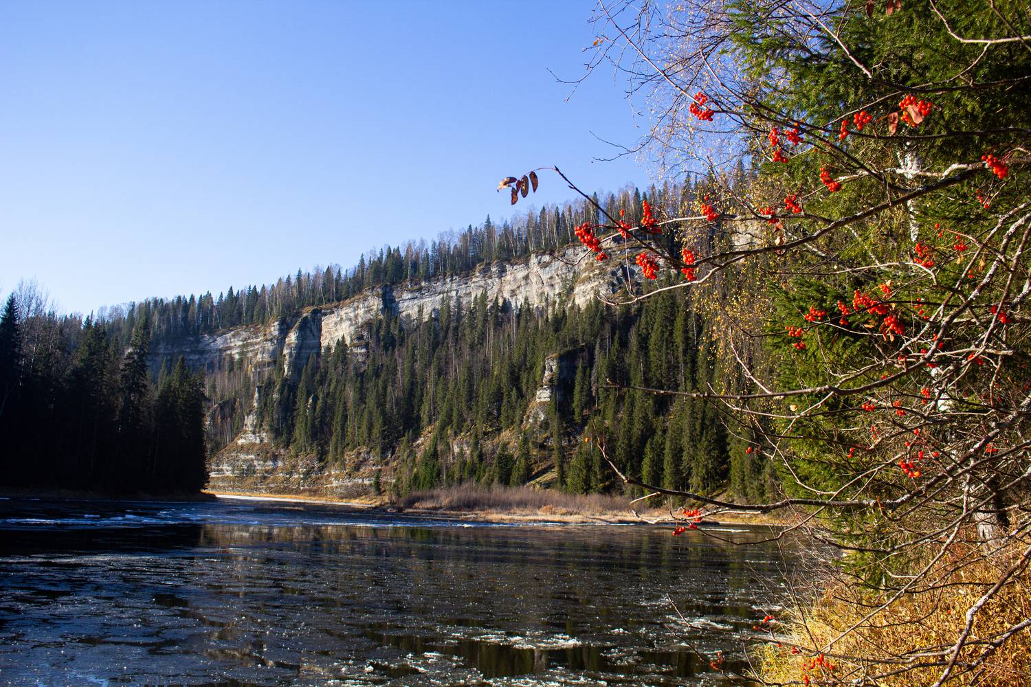 Фотография #12955567