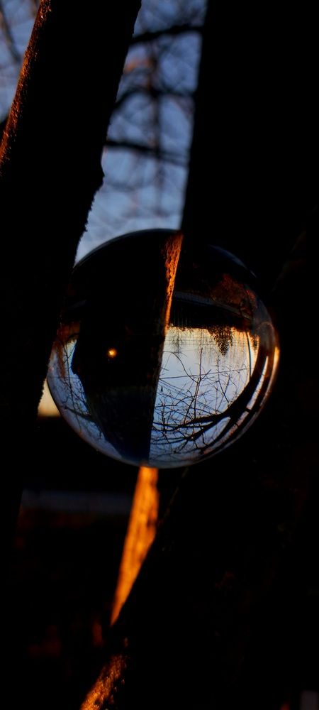 Photograph by Галина Перепечаева