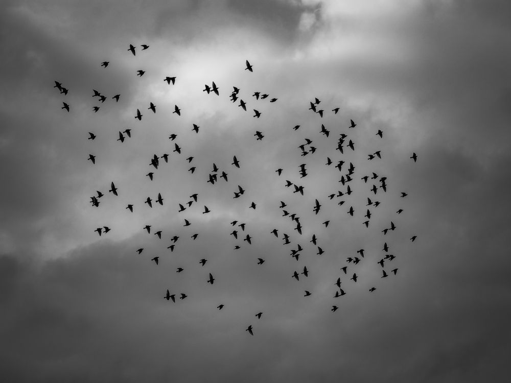 Photograph by Георгий Акопджанов