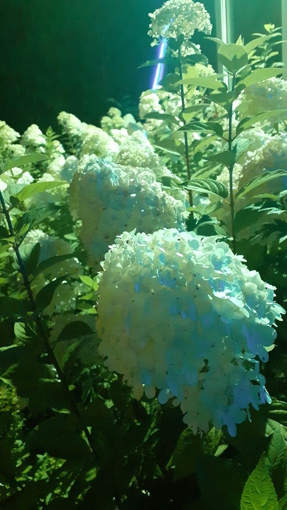 Photograph by Елена Лещева