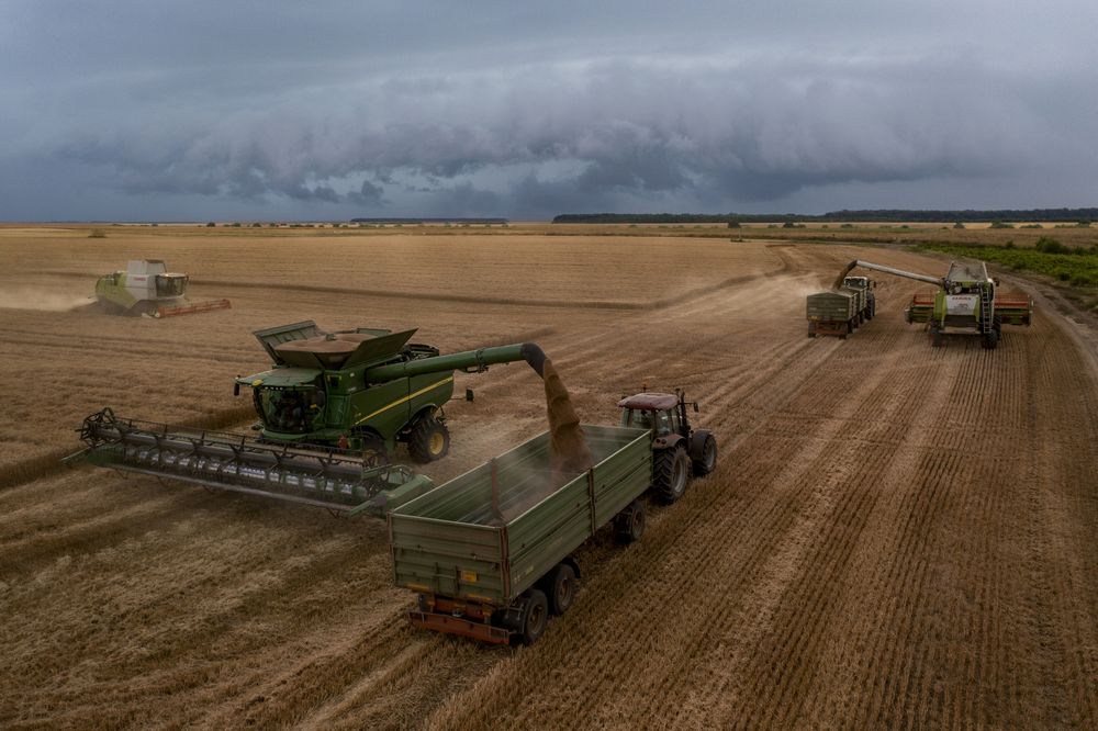 Photograph by Alexandru George