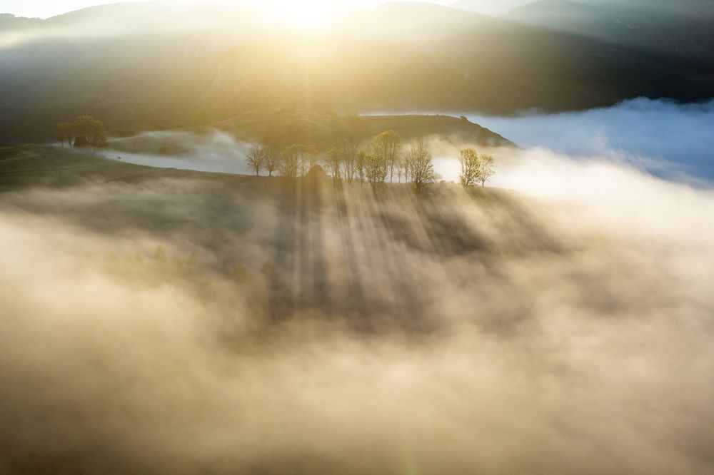 Photograph by Alexandru George