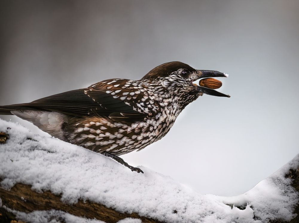 Photograph by Ирешева Мария