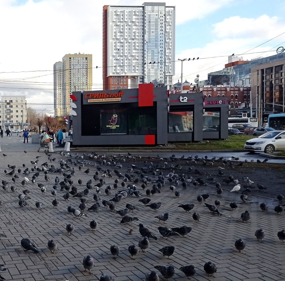 Photograph by Станислав Ивлев